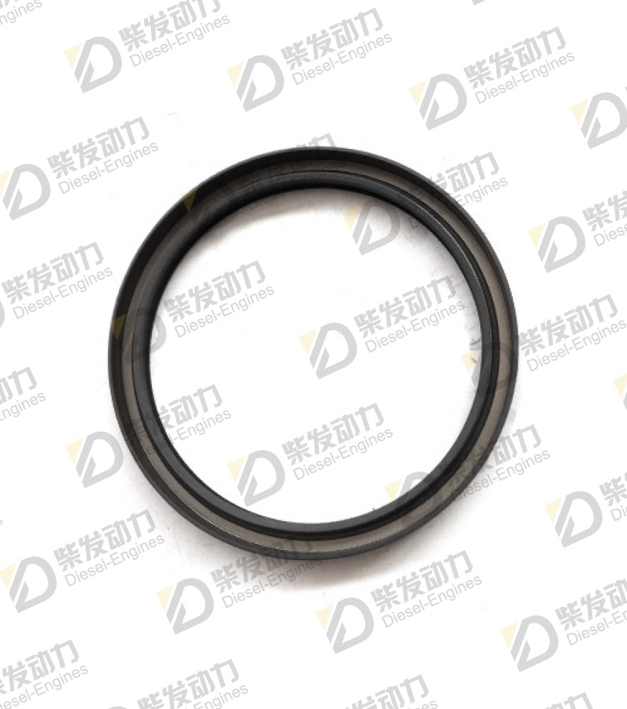 Sealing ring 469336 